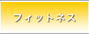 �t�B�b�g�l�X